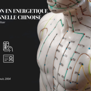 formation médecine traditionnelle chinoise e-learning en ligne