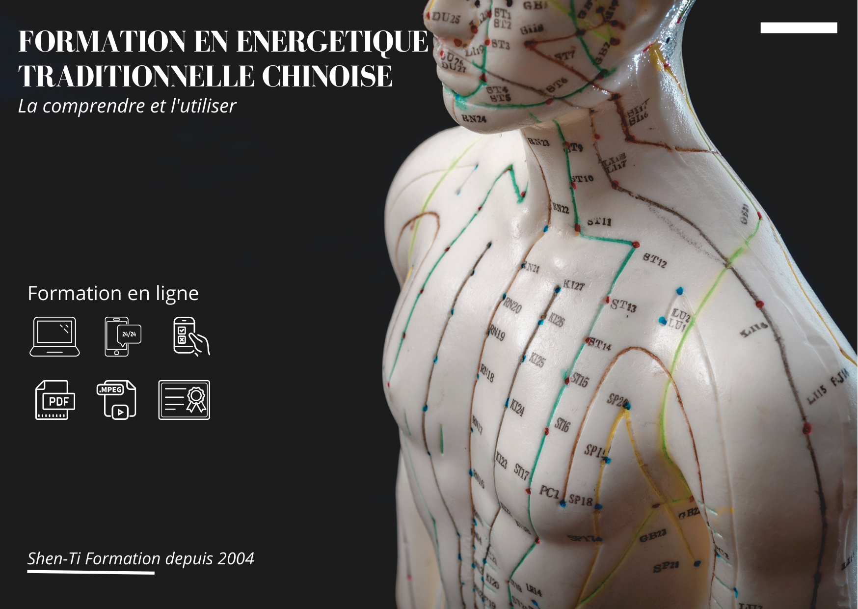 formation médecine traditionnelle chinoise e-learning en ligne