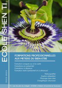 formation en ligne en presentiel toulouse