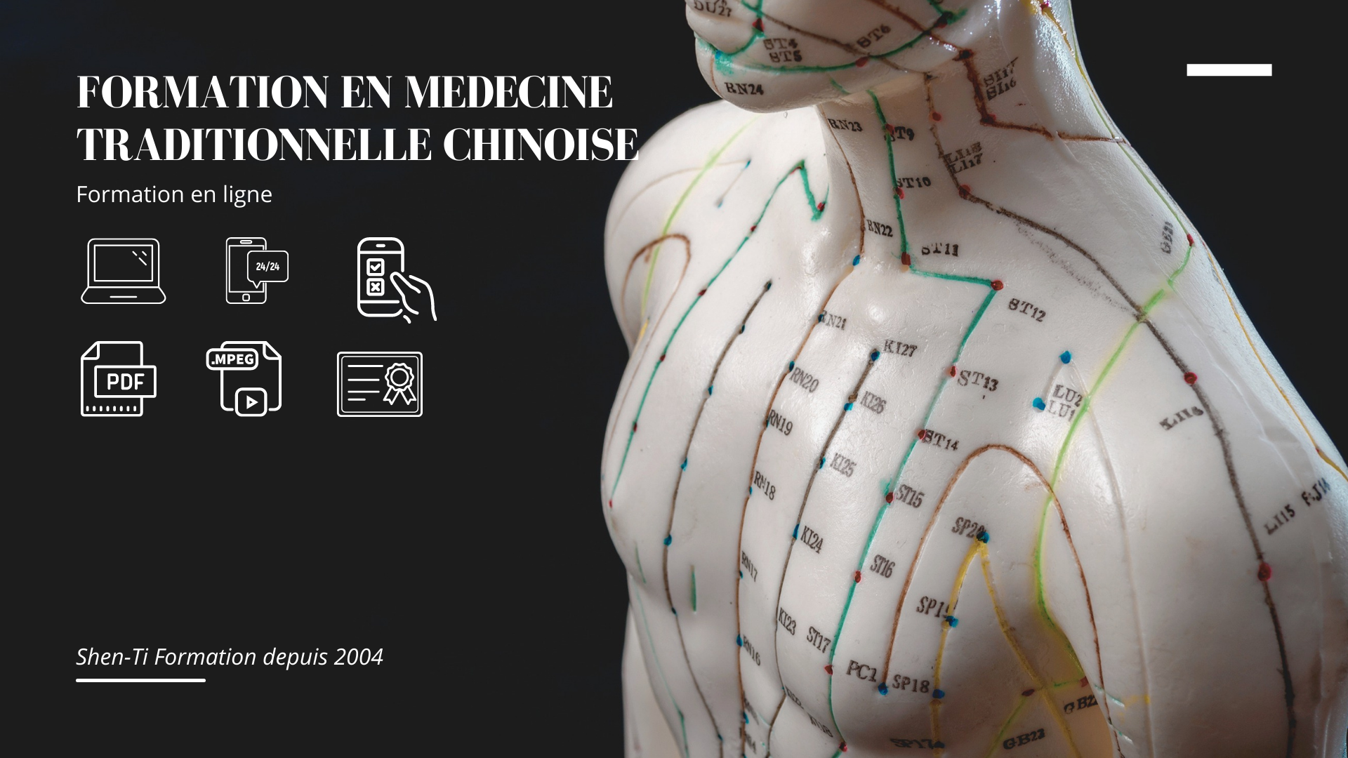 formation médecine chinoise