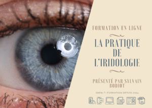 Formation iridologie en ligne e-learning