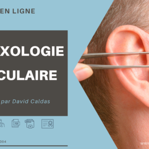 formation auriculothérapie en ligne e-learning