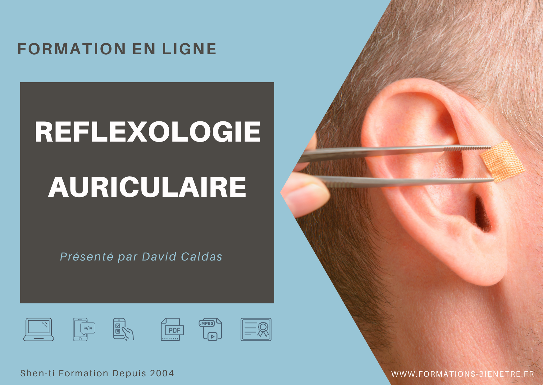 formation auriculothérapie en ligne e-learning